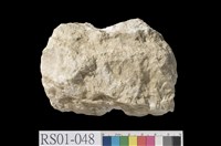 藏品(石灰岩)的圖片